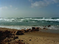 Seascape